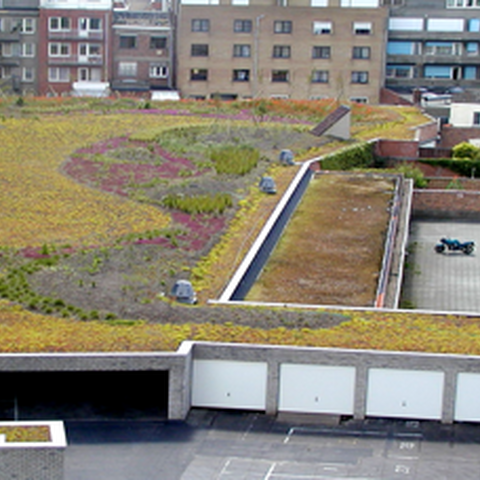Daktuin Blankenberge