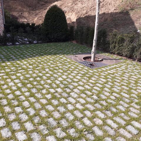 Groene Voegen